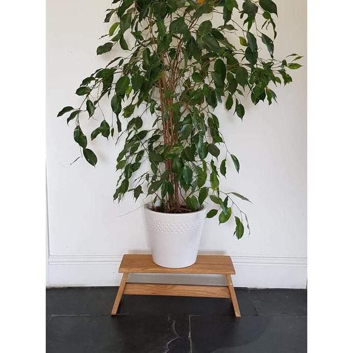 Handcrafted Oak CRACKET - Hop on/Foot/Milking/Child step stool, Plant stand